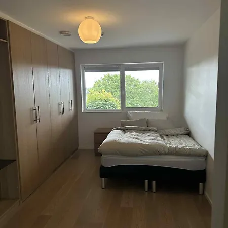 Apartment Modern Near *
